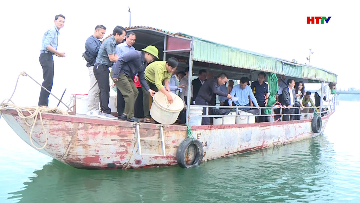 Bí thư Tỉnh ủy thả cá giống tái tạo nguồn lợi thủy sản