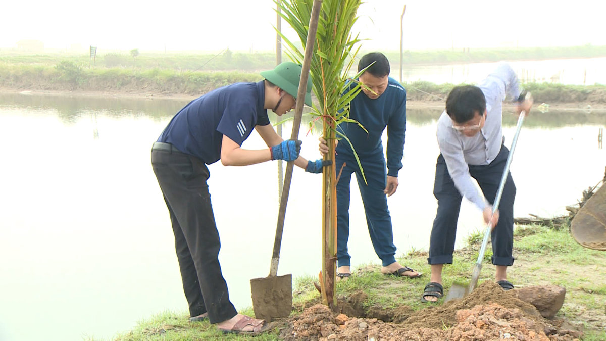 Thành phố Hà Tĩnh trồng mới 30 ngàn cây xanh đô thị