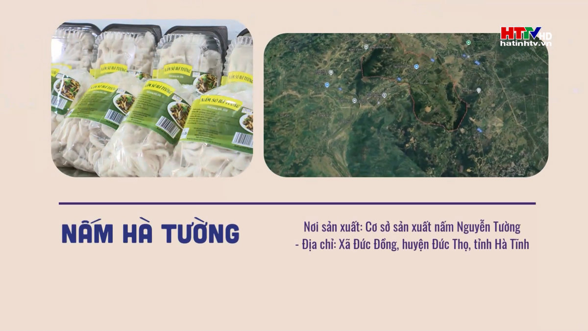 Nấm Hà Tường