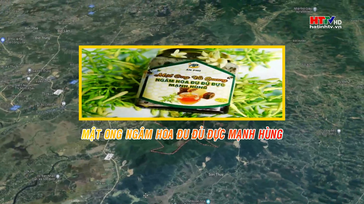 Mật ong ngâm hoa đu đủ Mạnh Hùng