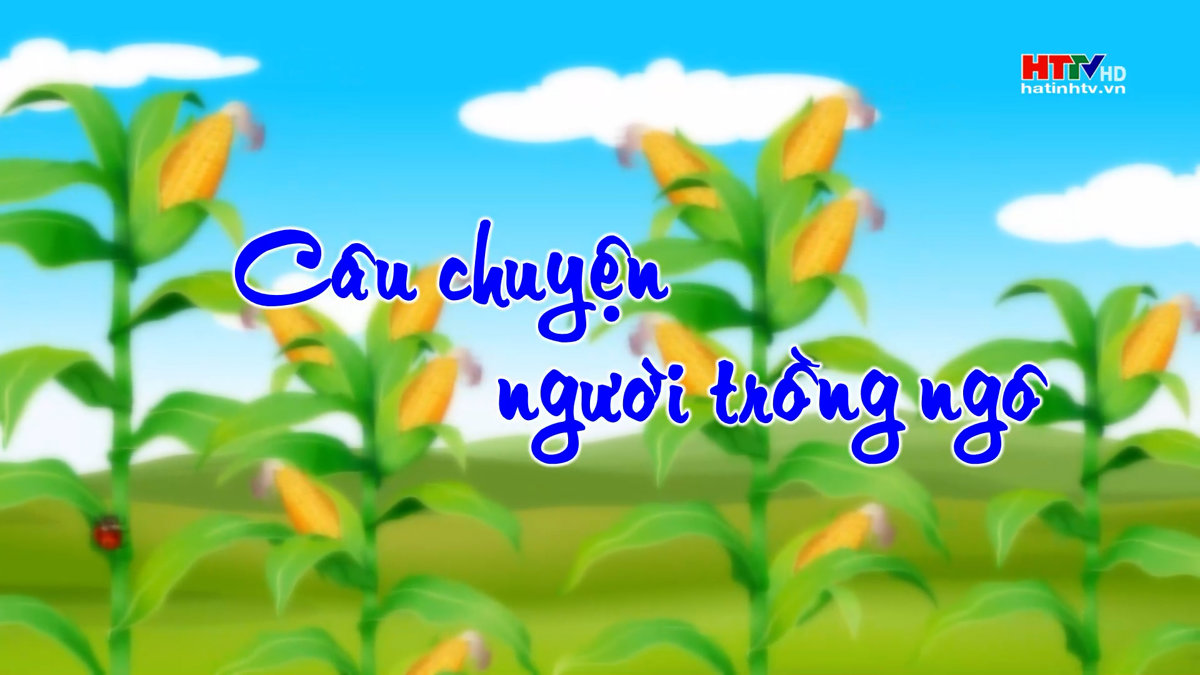 Câu chuyện người trồng ngô