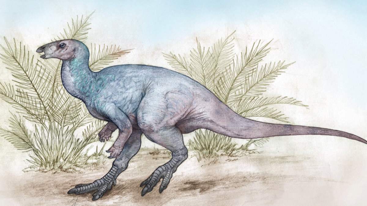 Phát hiện hóa thạch khủng long ăn cỏ cách đây 90 triệu năm