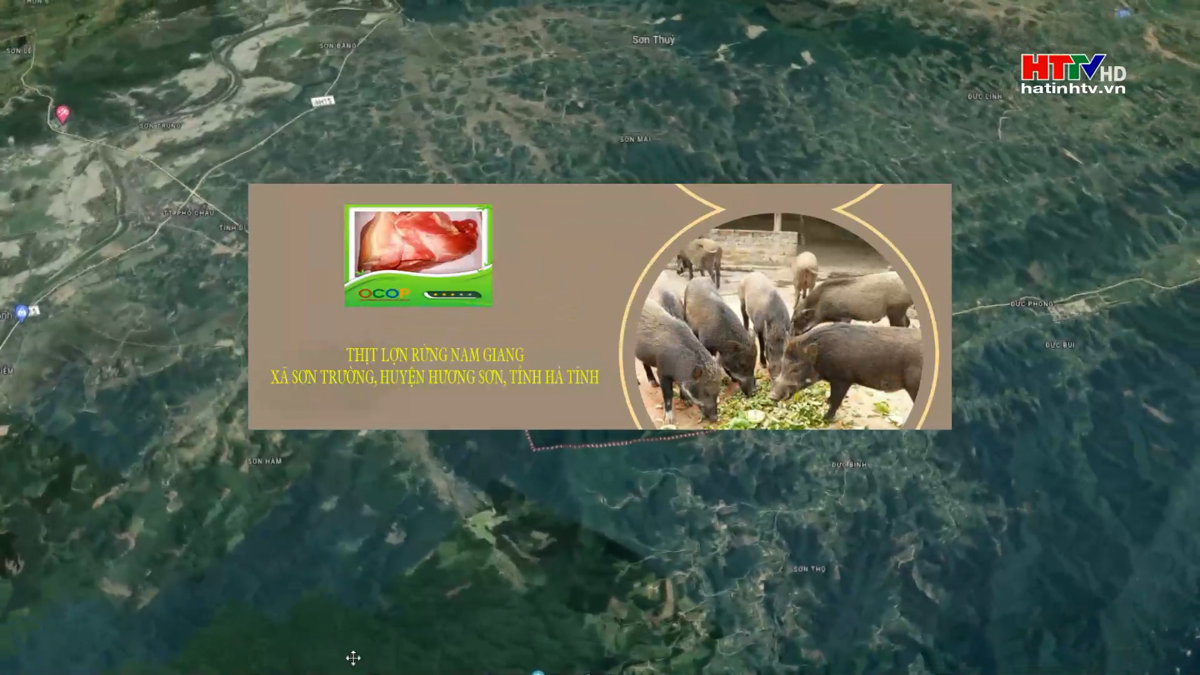 Sản phẩm thịt lợn rừng Nam Giang