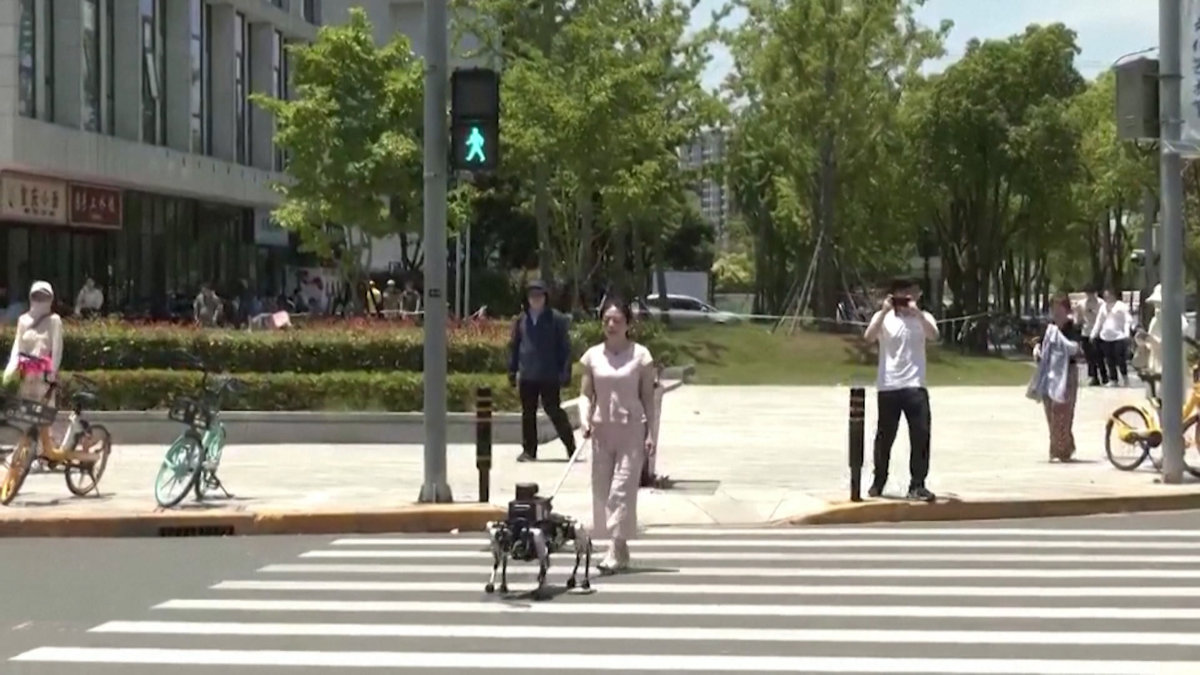 Chó robot dẫn đường cho người khiếm thị