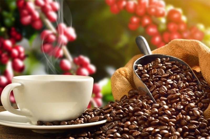 Giá cà phê hôm nay: Tăng mạnh trở lại, chạm ngưỡng 121.000 đồng