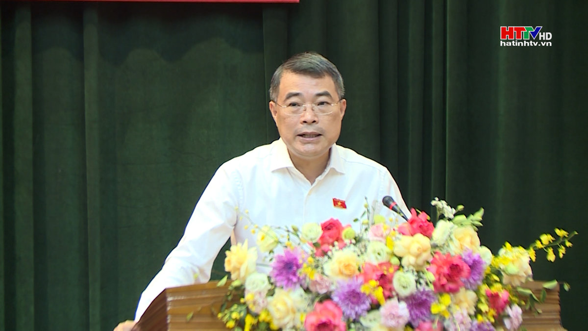 Trưởng Ban Tổ chức Trung ương tiếp xúc cử tri Hà Tĩnh