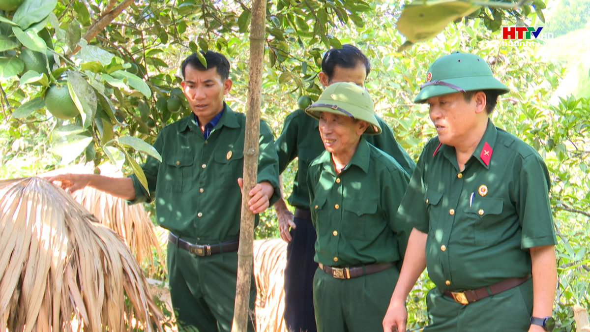 Vũ Quang: 370 mô hình kinh tế của cựu chiến binh cho thu nhập cao