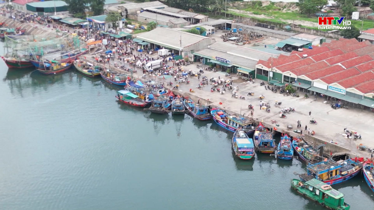 Lượng thủy sản giám sát qua cảng cá Hà Tĩnh chỉ đạt 3,6%