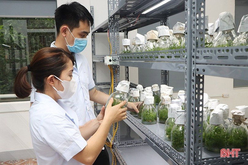 Quy định mới về thành lập Quỹ HTX địa phương hoạt động theo mô hình HTX