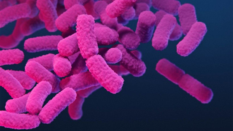 Canada công bố danh sách 29 siêu vi khuẩn nguy hiểm nhất đối với con người