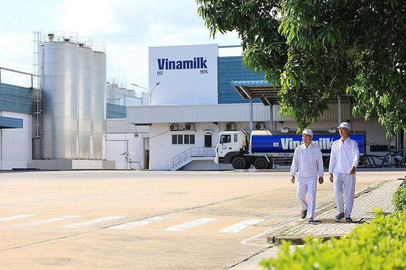 Chiếc nắp chai giúp Vinamilk tăng trưởng doanh số tại New Zealand