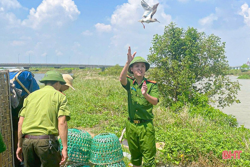 Bảo vệ chim di cư, không chỉ trách nhiệm của lực lượng chức năng!