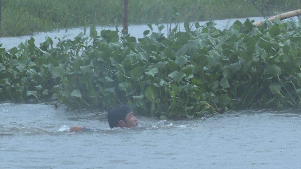 Bất chấp nguy hiểm liều mình đánh bắt cá trong mưa lũ