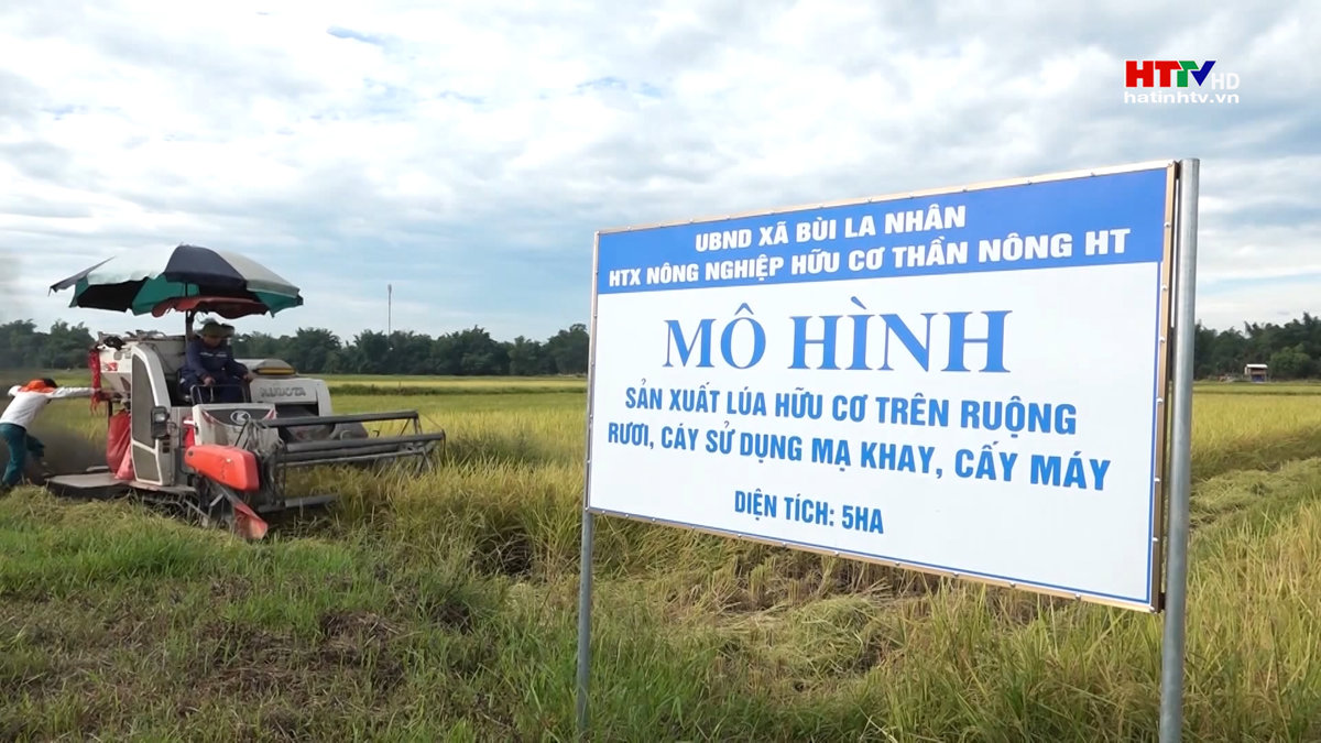 Hà Tĩnh: Sản xuất nông nghiệp hữu cơ mang lại nhiều hiệu quả