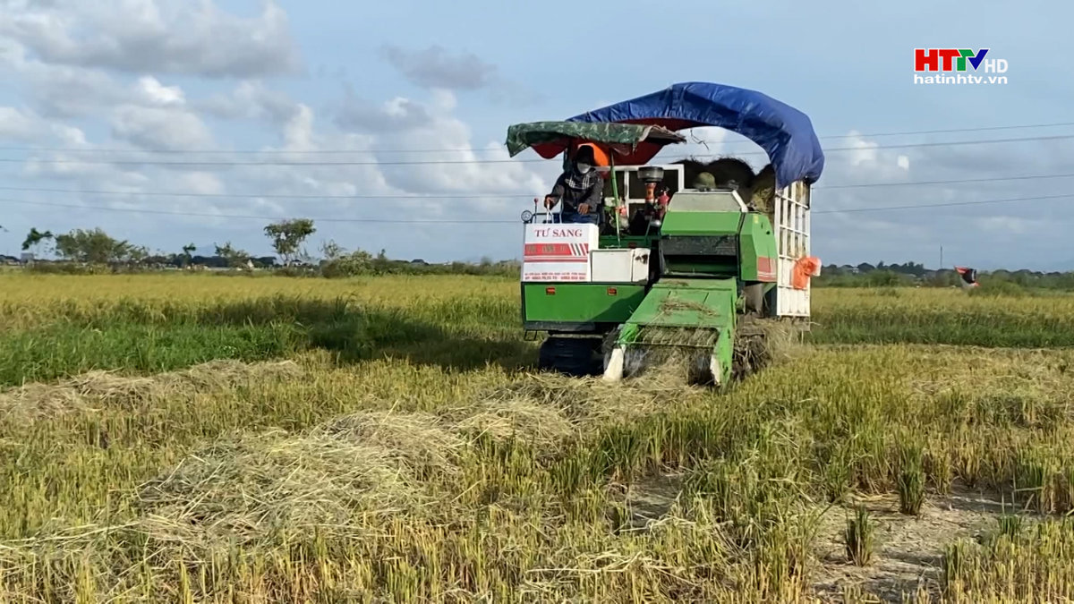 Thu gom rơm bằng cơ giới