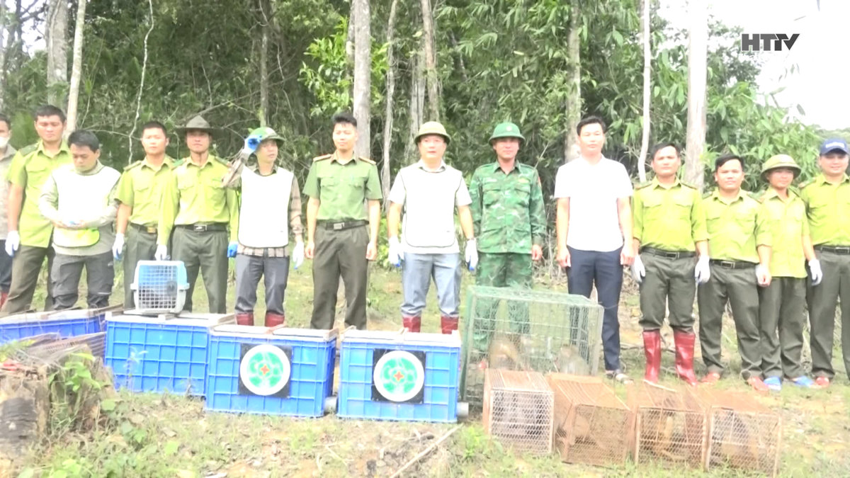 Vườn Quốc gia Vũ Quang tái thả 36 cá thể động vật hoang dã