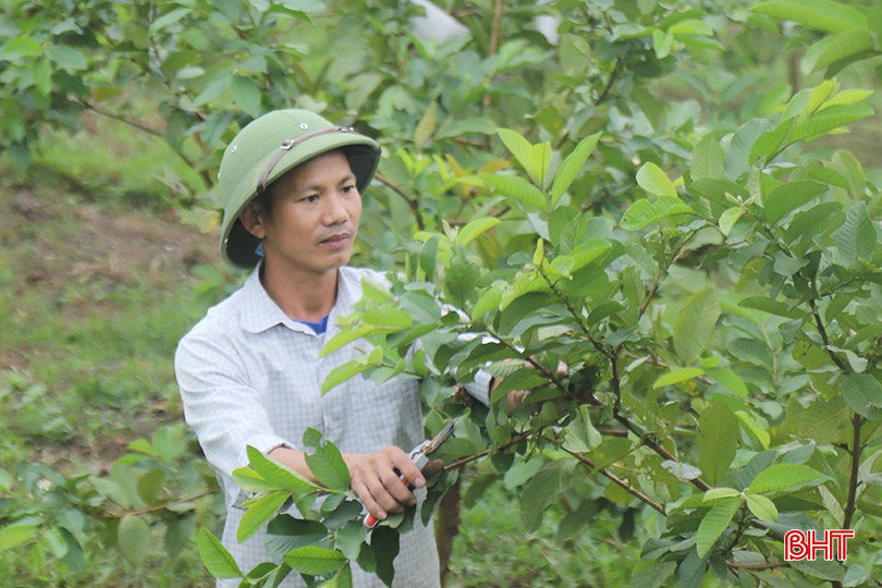 "Trao cần câu" cho người nghèo