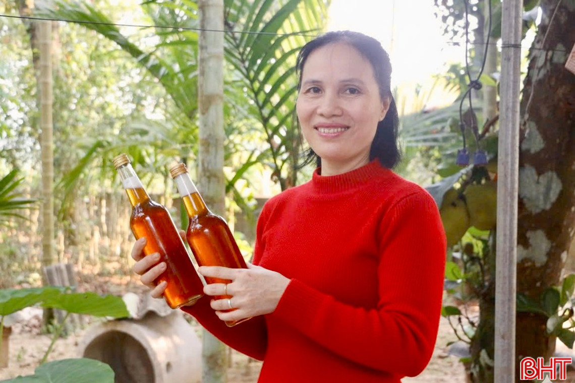 Mùa Tết bội thu của những người nuôi ong Hà Tĩnh