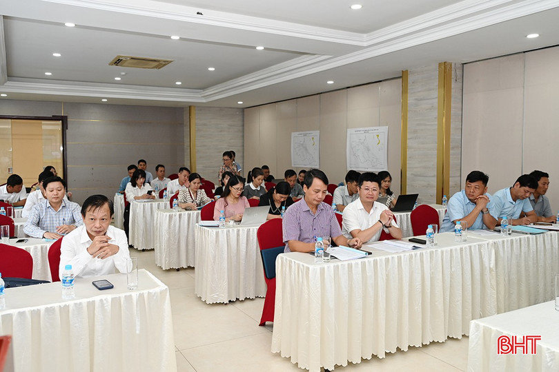 Hà Tĩnh có 8.764ha tiềm năng trồng lúa, rau củ quả và cây ăn quả hữu cơ