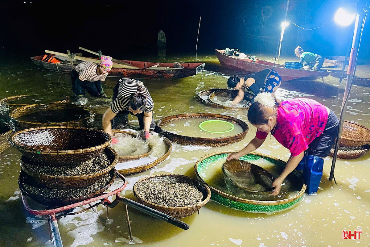 Làng hến sông La nỗ lực khôi phục sản xuất sau mưa lũ