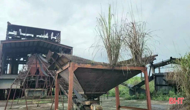 Chấm dứt hoạt động Dự án Nhà máy tuyển quặng sắt Vũ Quang