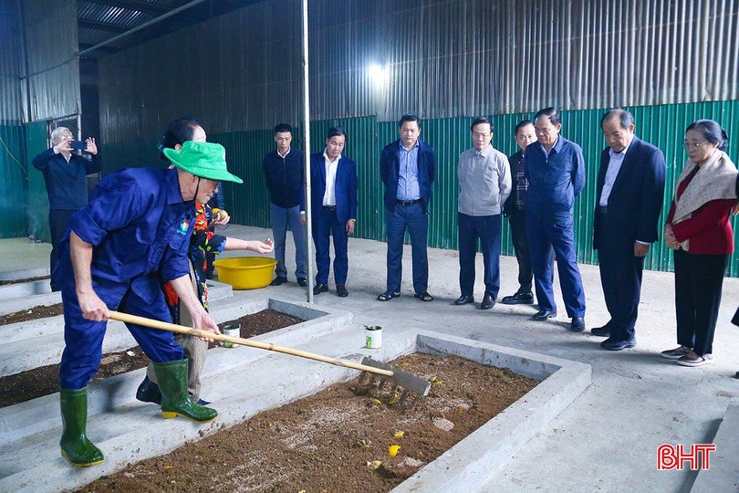 Nhiều mô hình mới hướng đến sản xuất tuần hoàn theo chuỗi giá trị Quế Lâm