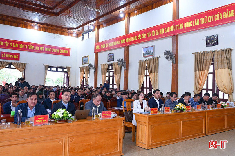 Xã Thạch Lạc quy hoạch hơn 56 ha sản xuất lúa theo hướng hữu cơ