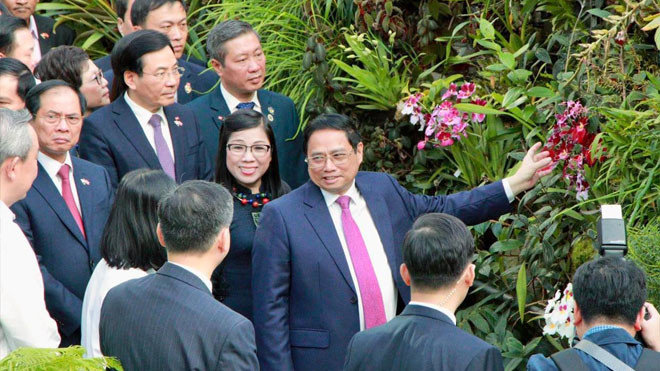 Singapore định danh loài lan mới theo tên Thủ tướng Phạm Minh Chính và Phu nhân