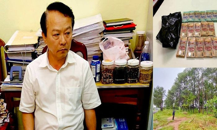 Đình chỉ công tác thẩm phán nhận hối lộ 16 cọc tiền ở Gia Lai