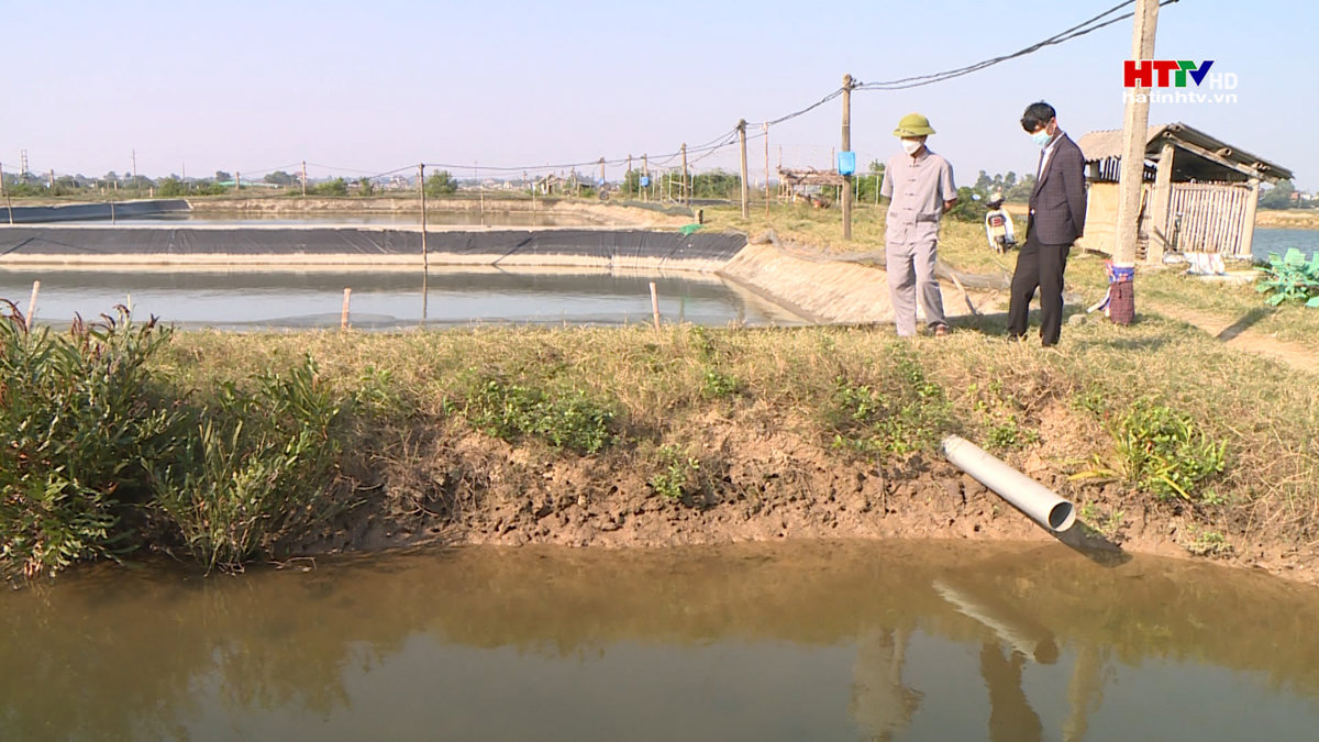 Môi trường biến động nghề nuôi tôm thất bát