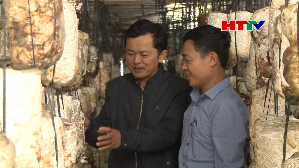 Ocop - Nâng tầm các sản phẩm chủ lực của địa phương