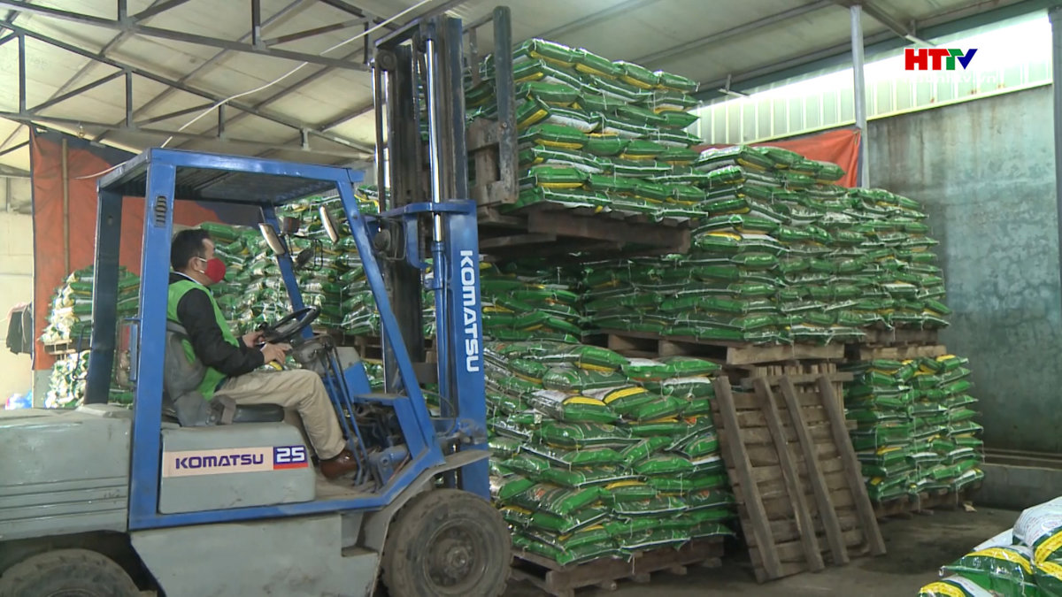 Giá phân bón tăng, nguồn cung không đáp ứng đủ nhu cầu