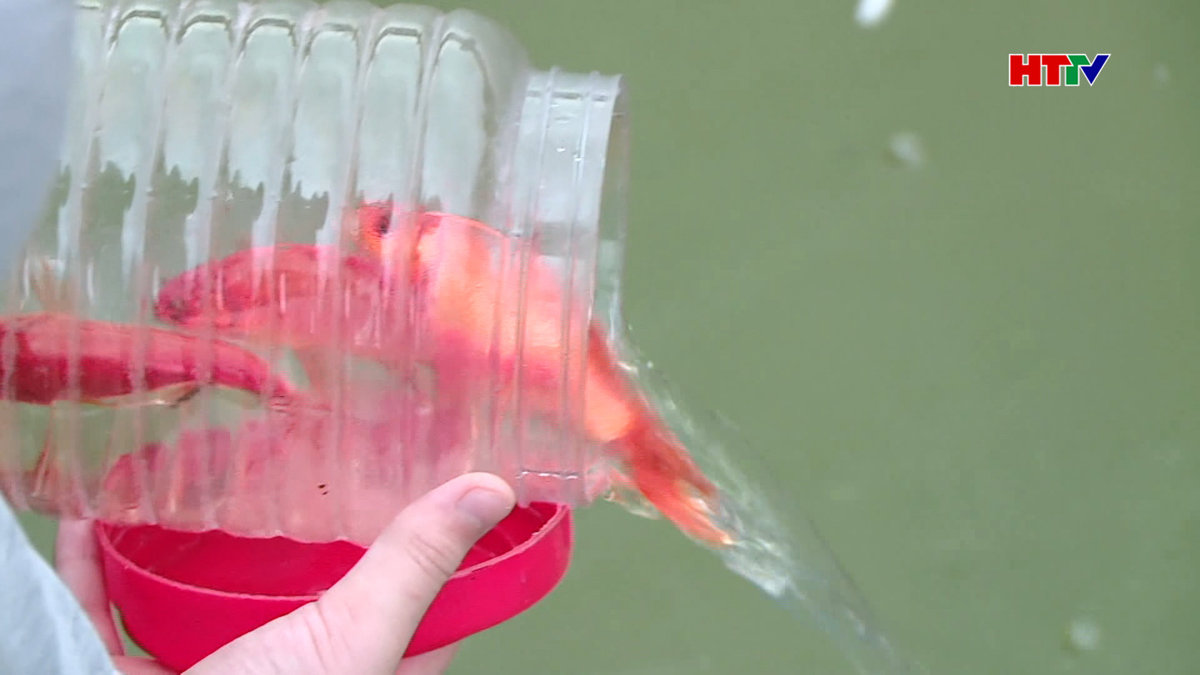 Lễ cúng ông Công, ông Táo phong tục đẹp