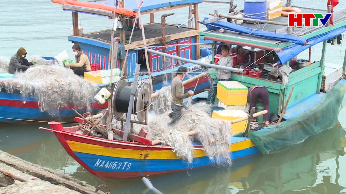 Ngư dân Hà Tĩnh săn "Lộc biển" đầu Xuân