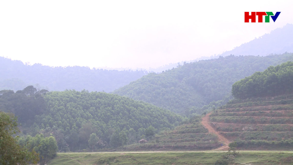 Thu hồi đất rừng ở Vũ Quang, vì sao chậm?