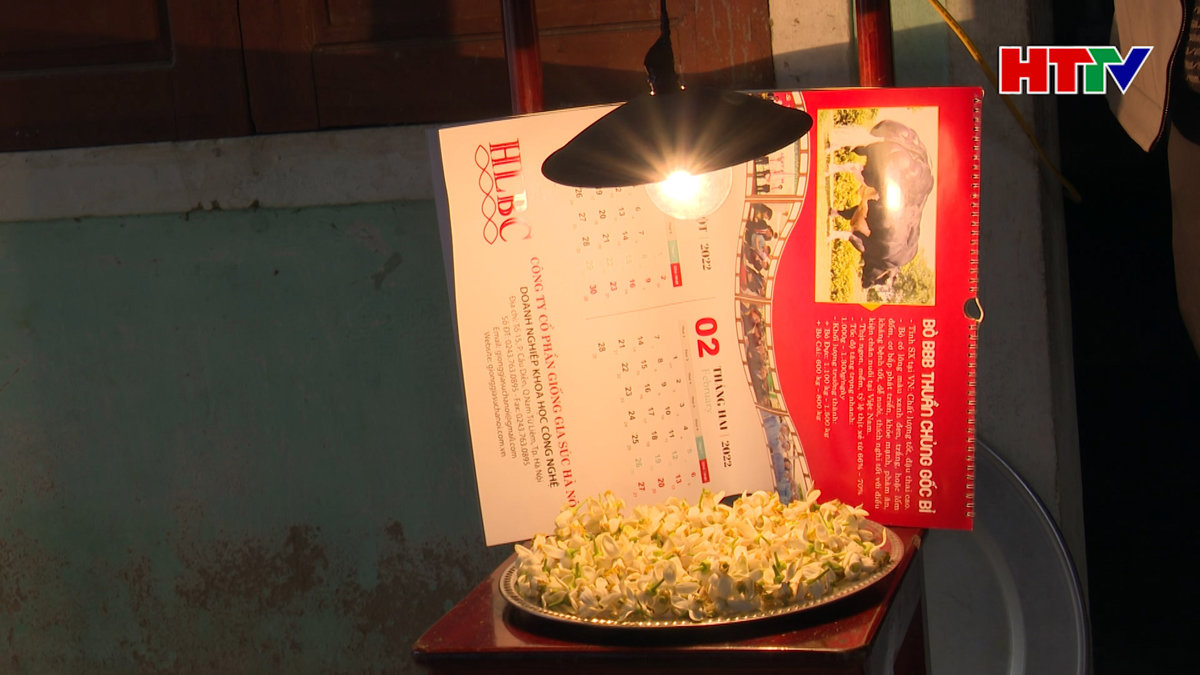 Giải pháp thụ phấn cho hoa Bưởi trong mùa mưa rét