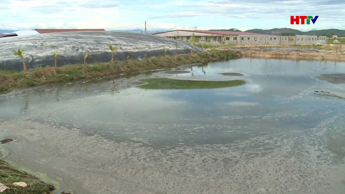 Thiết lập đường dây nóng tiếp nhận phản ánh các vấn đề về môi trường