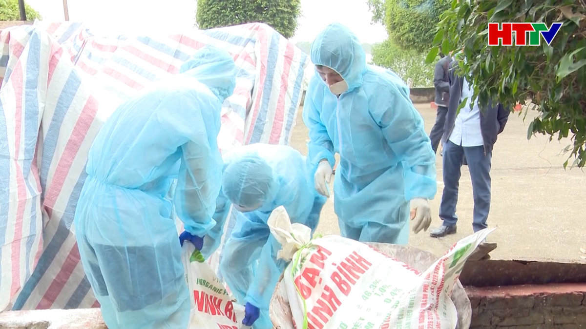 Dịch tả lợn Châu phi tiếp tục diễn biến khó lường