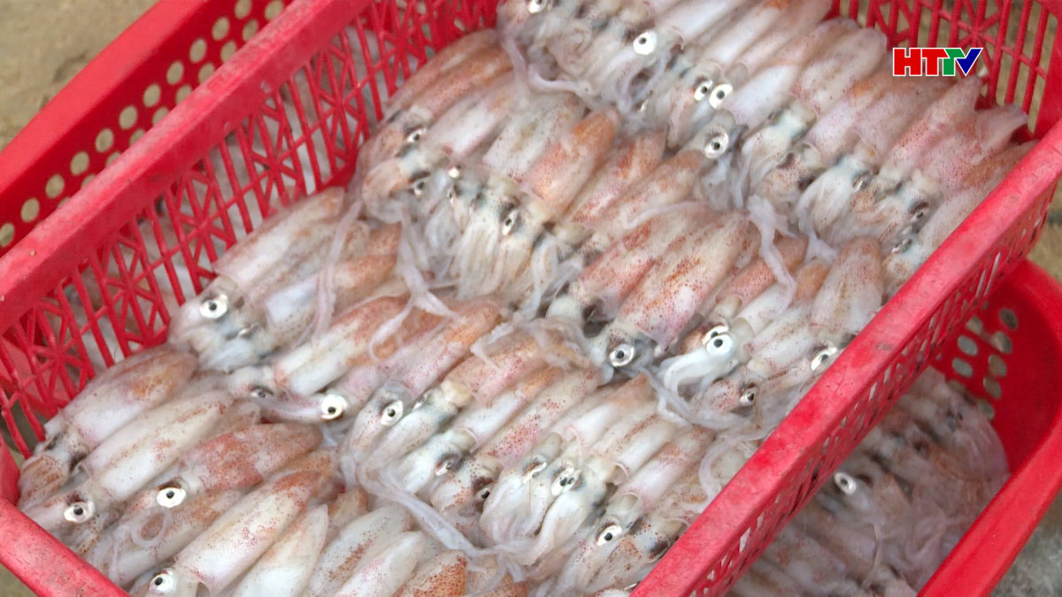 Bất cập trong bảo quản chế biến hải sản