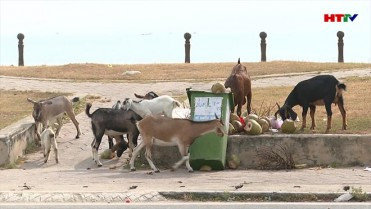 Những hình ảnh không đẹp ở bãi tắm Lộc Hà