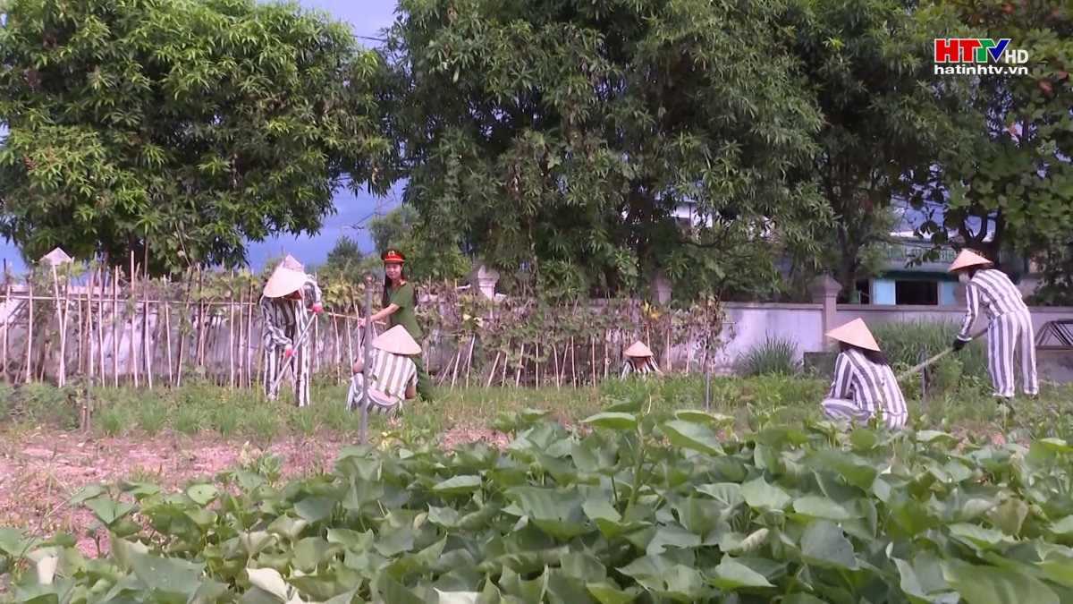 Thí điểm mô hình đưa phạm nhân lao động ngoài trại giam