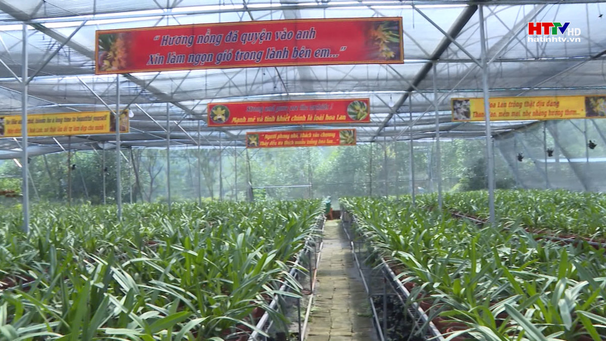 Người trẻ chọn quê hương lập nghiệp