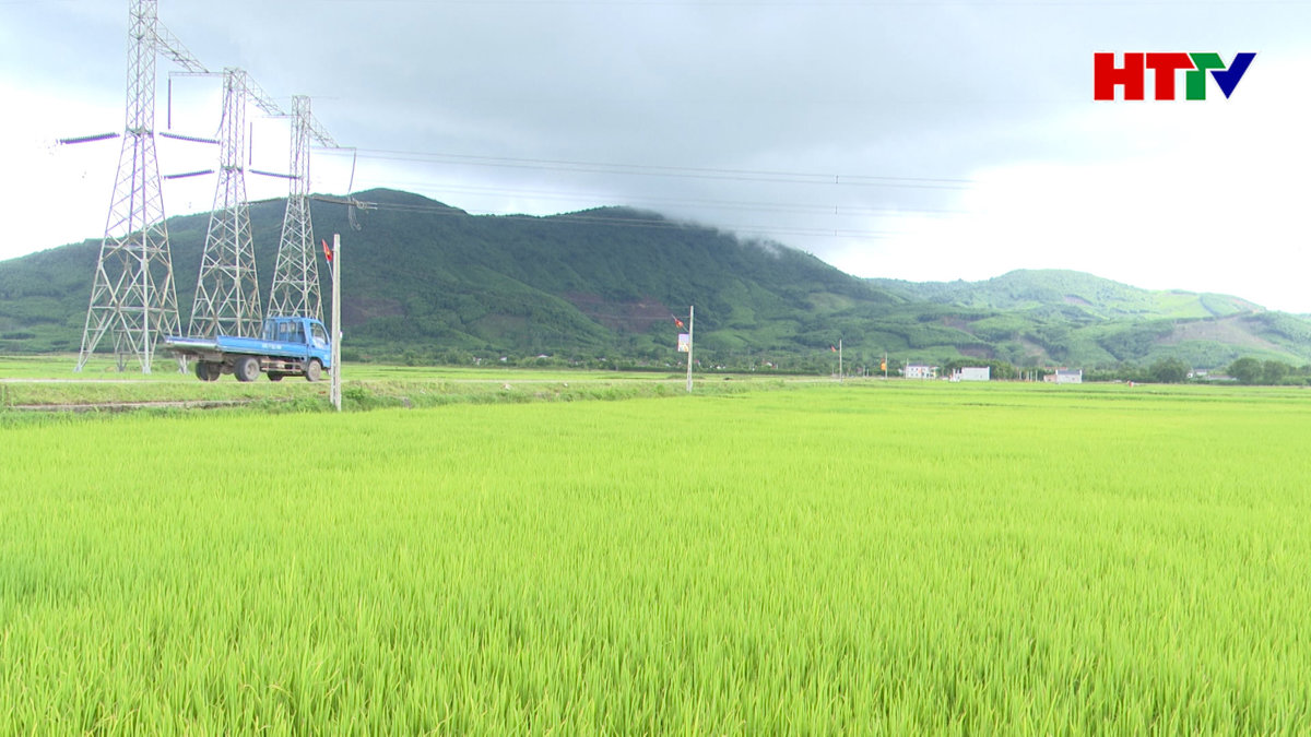 Các địa phương ở Hà Tĩnh tập trung thực hiện dồn điền, đổi thửa lần 3