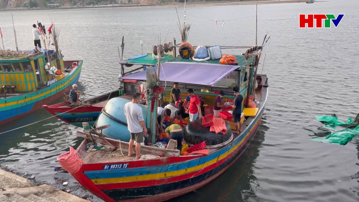 98 tàu cá được cấp Giấy chứng nhận vệ sinh an toàn thực phẩm