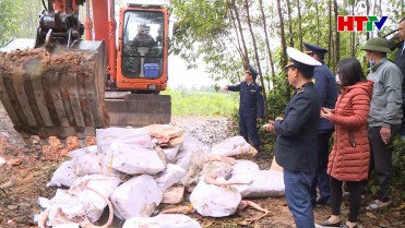 Quản lý thị trường Hà Tĩnh tiêu hủy 960 kg nội tạng động vật