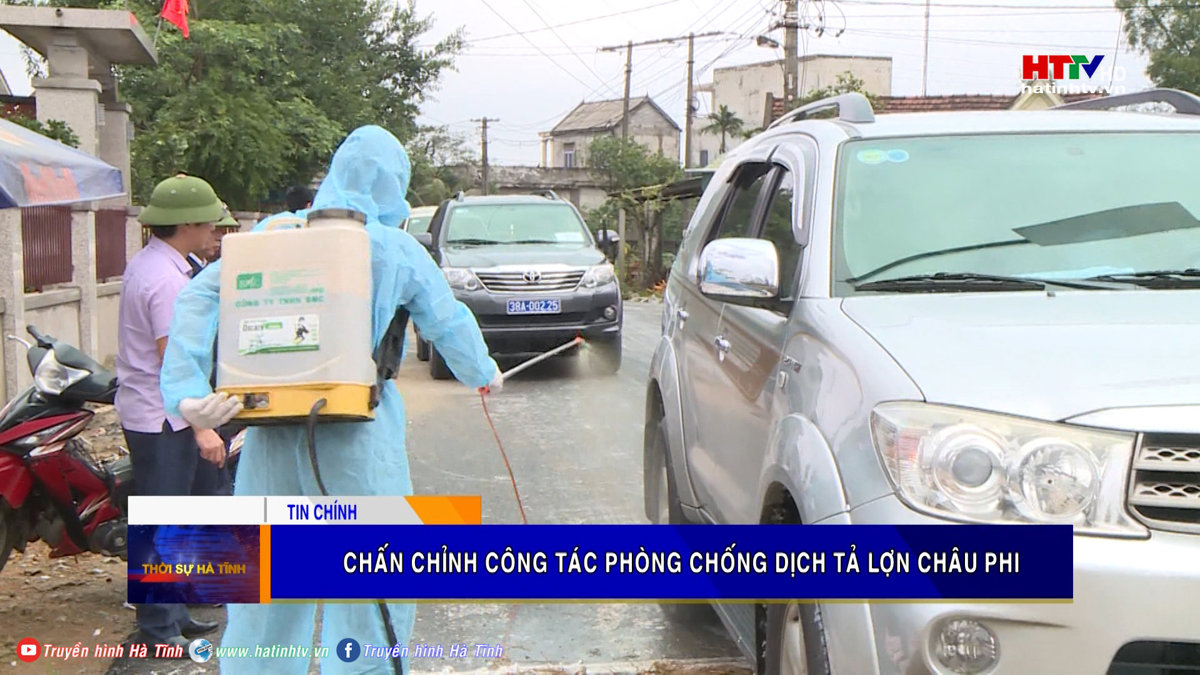 Chấn chỉnh công tác phòng chống dịch tả lợn châu phi