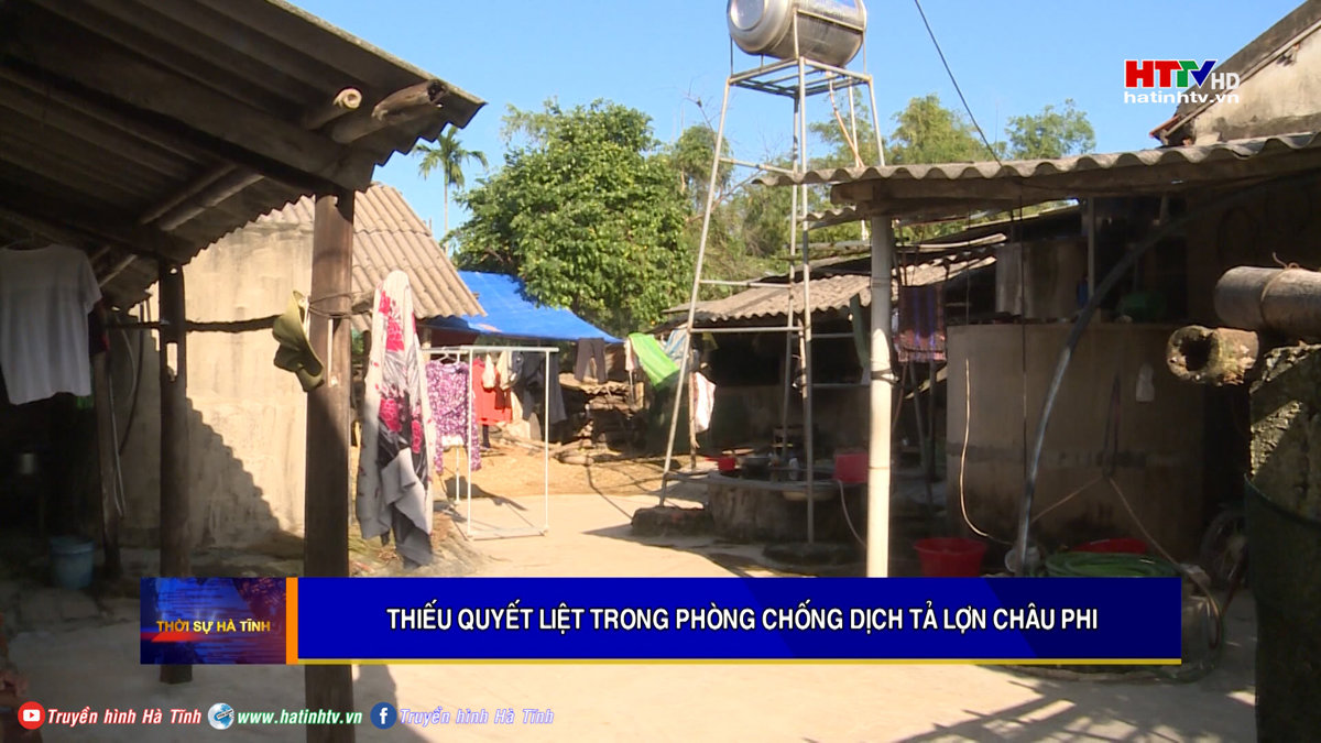 THIẾU QUYẾT LIỆT TRONG PHÒNG CHỐNG DỊCH TẢ LỢN CHÂU PHI