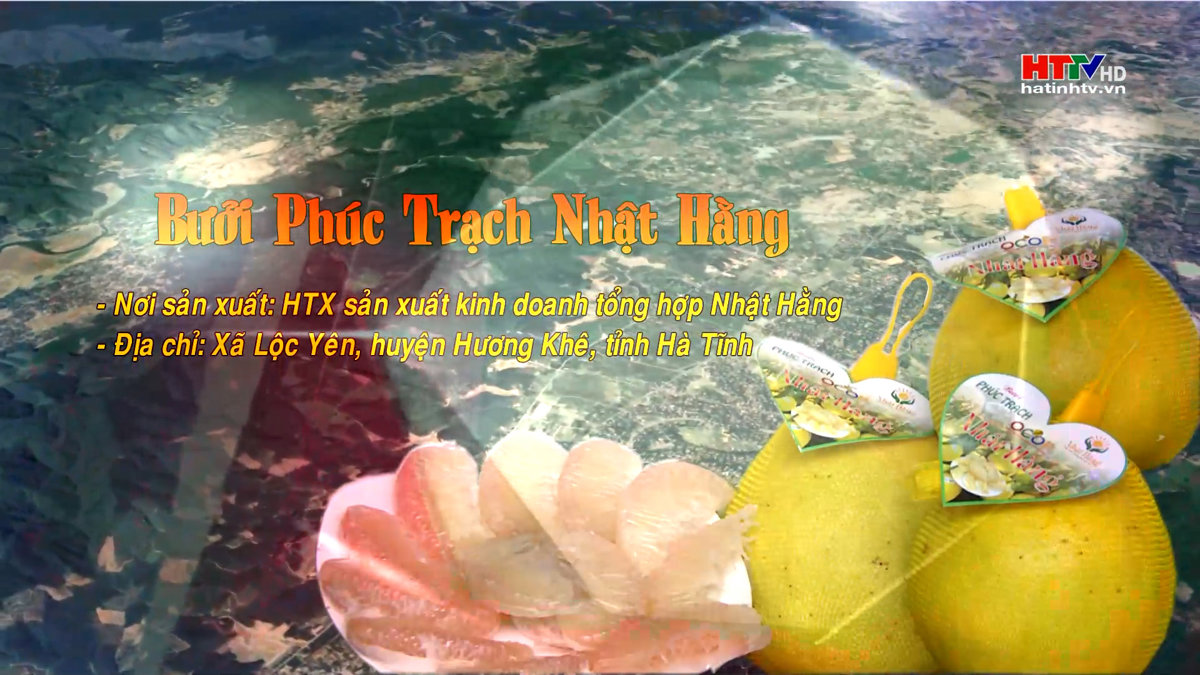 Bưởi Phúc Trạch Nhật Hằng