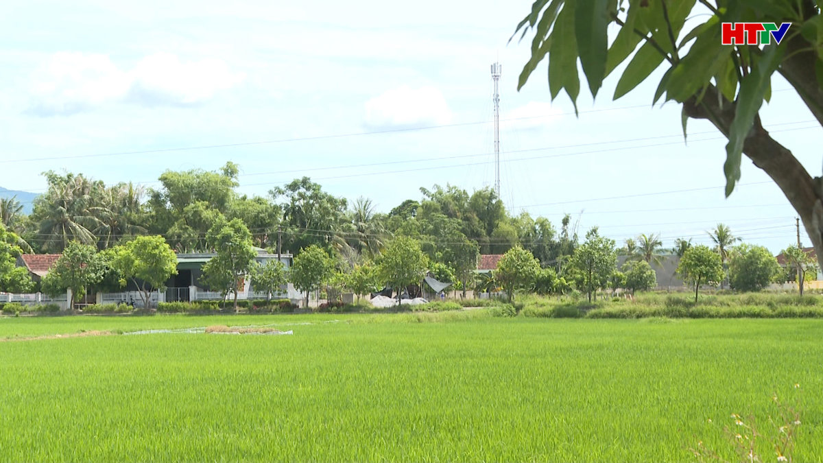 Mong ngày đón con em xa quê trở về