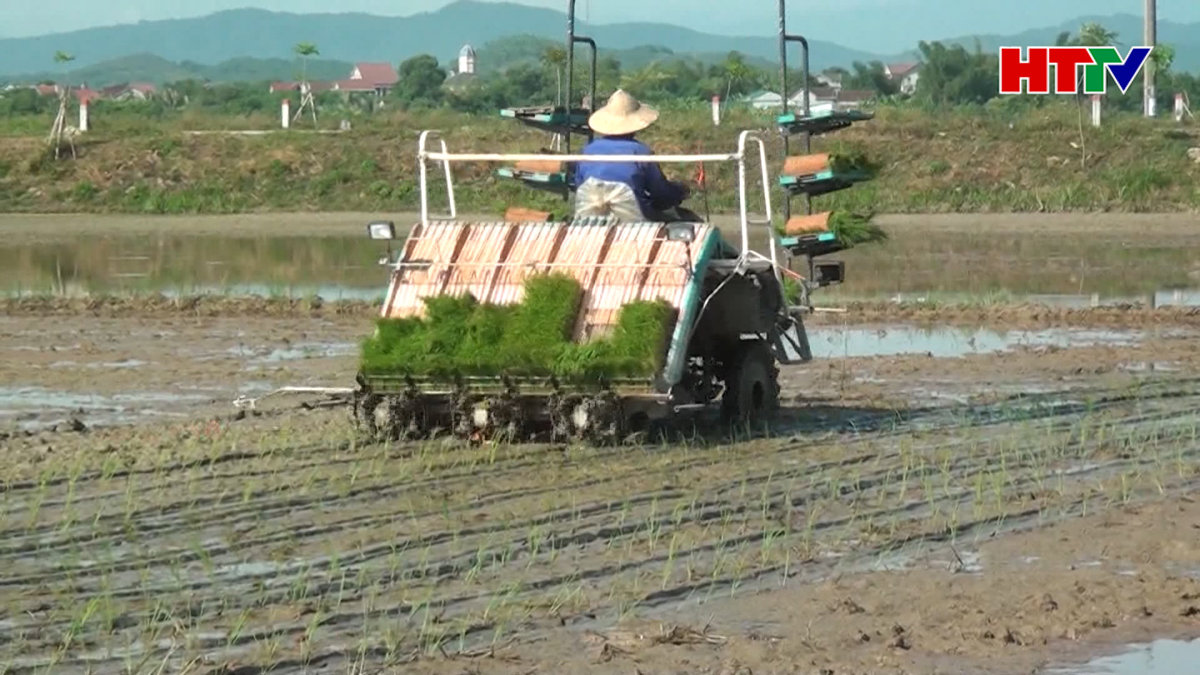 Kinh nghiệm thực tiễn quý từ tích tụ ruộng đất ở Can Lộc